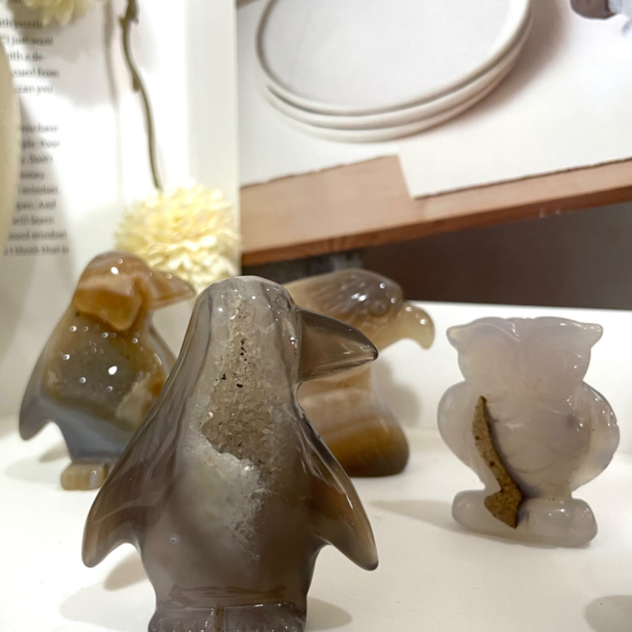 Animals Druzy Natural Raw Geode Agate Penguin Dolphin Horse Owl Fish Turtle Dinosaur Unicorn Fox Frog Eagle Snail Healing Stone Home Decoration From IG Crystal