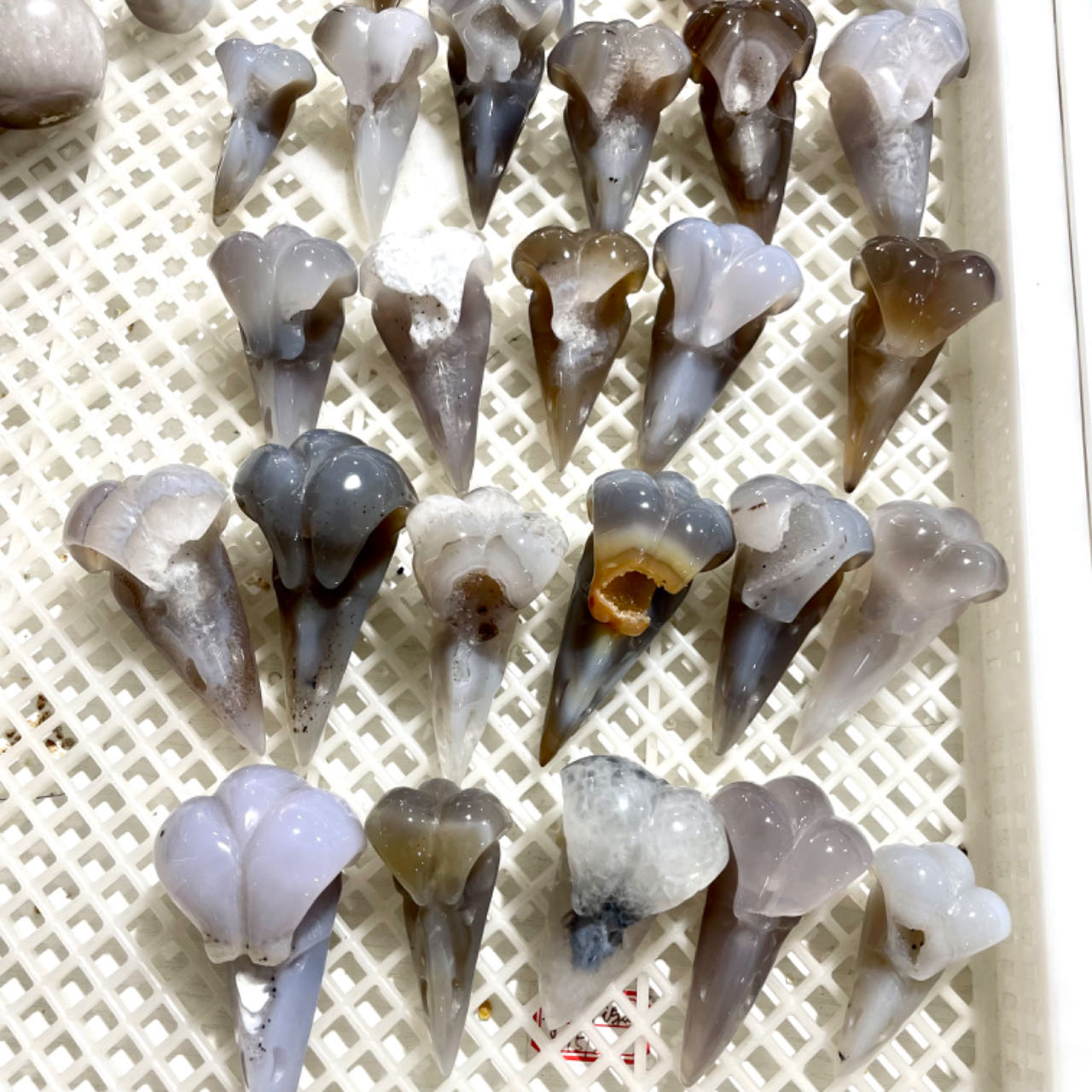 3 Counts Crow's Head Geode Crystal Carvings Natural Stone Gem Mining Chakra Balancing Reiki Healing Crystal Mystery Crystal Display Crystal Shopping Online Home Office Decor From IG Crystal