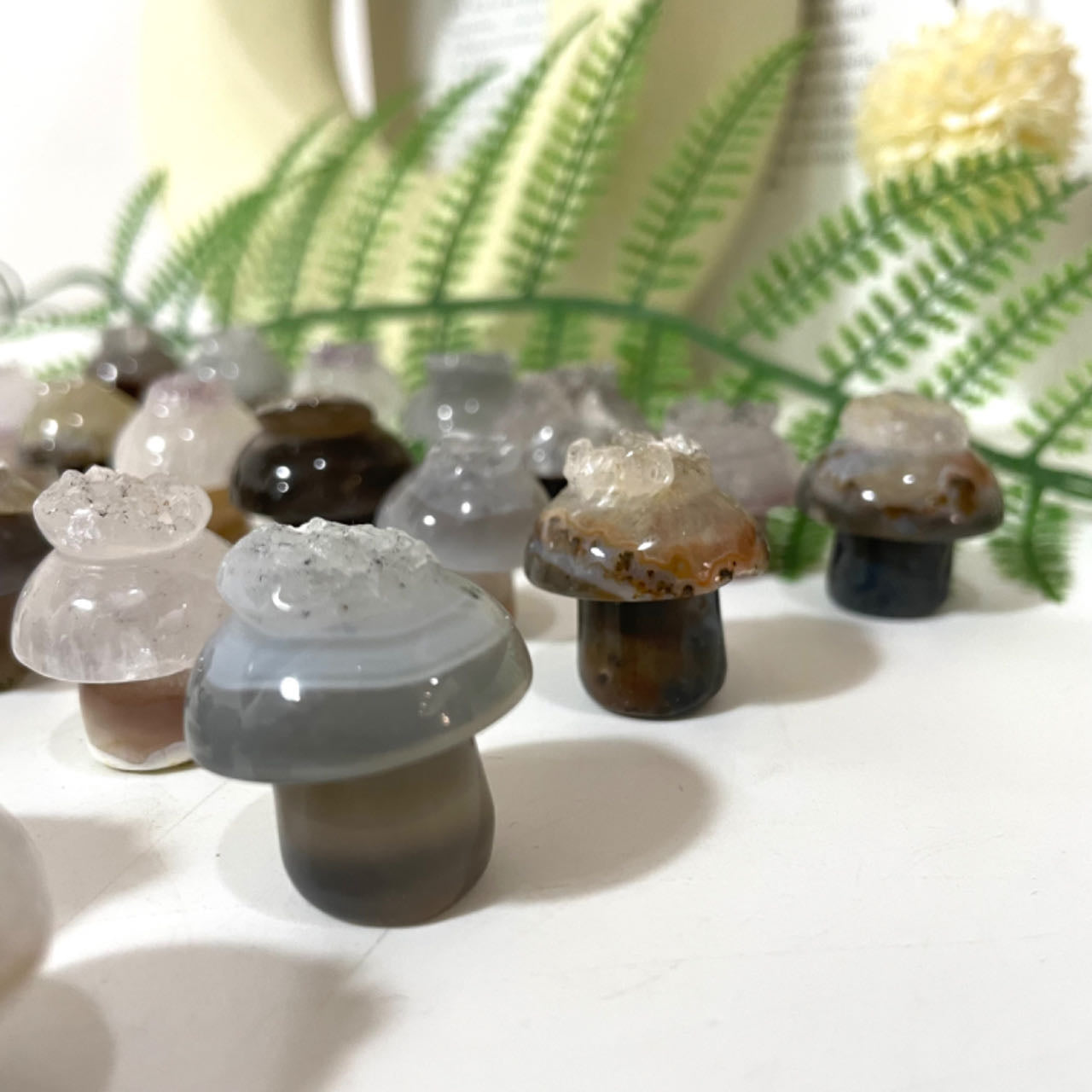 Different Maerail Small Mushrooms Druzy Natural Raw Geode Healing Stone From IG Crystal
