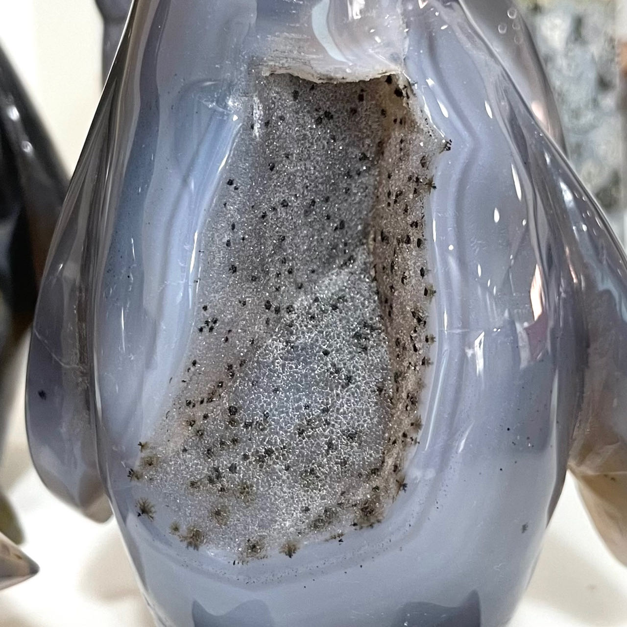 Penguin Druzy Natural Raw Geode From IG Crystal