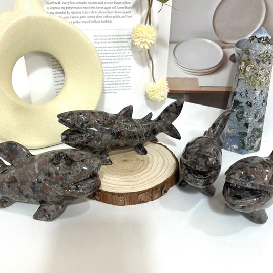 1PCS Hand-Carved Natural Fire Stone Shark Crystal Statue From IG Crystal