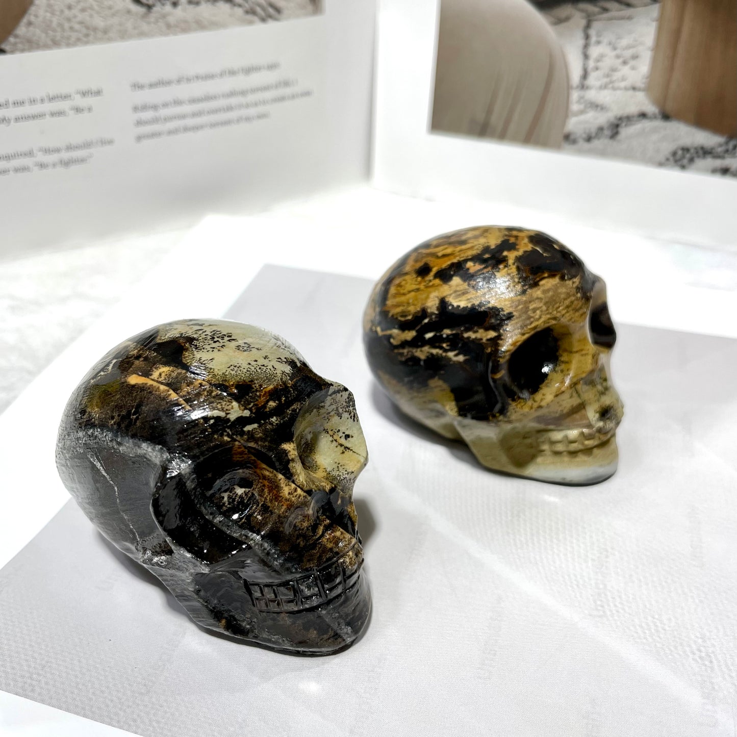 2 Counts Picture Jasper Skull Crystal Carving Healing Stones Natural Stone Chakra Balancing Reiki Home Office Decor From IG Crystal