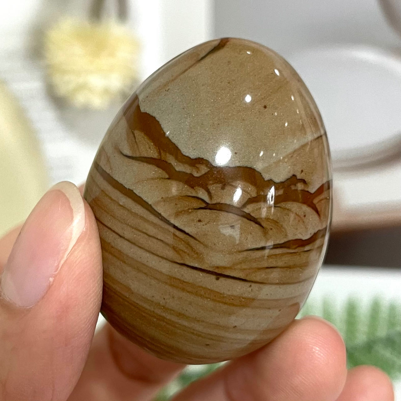 Small Eggs Ocean Jasper Rose Quartz Red Agate Woodstone Healing Stone Home Decoration From IG Crystal