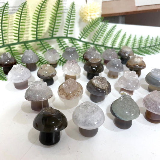 Different Maerail Small Mushrooms Druzy Natural Raw Geode Healing Stone From IG Crystal