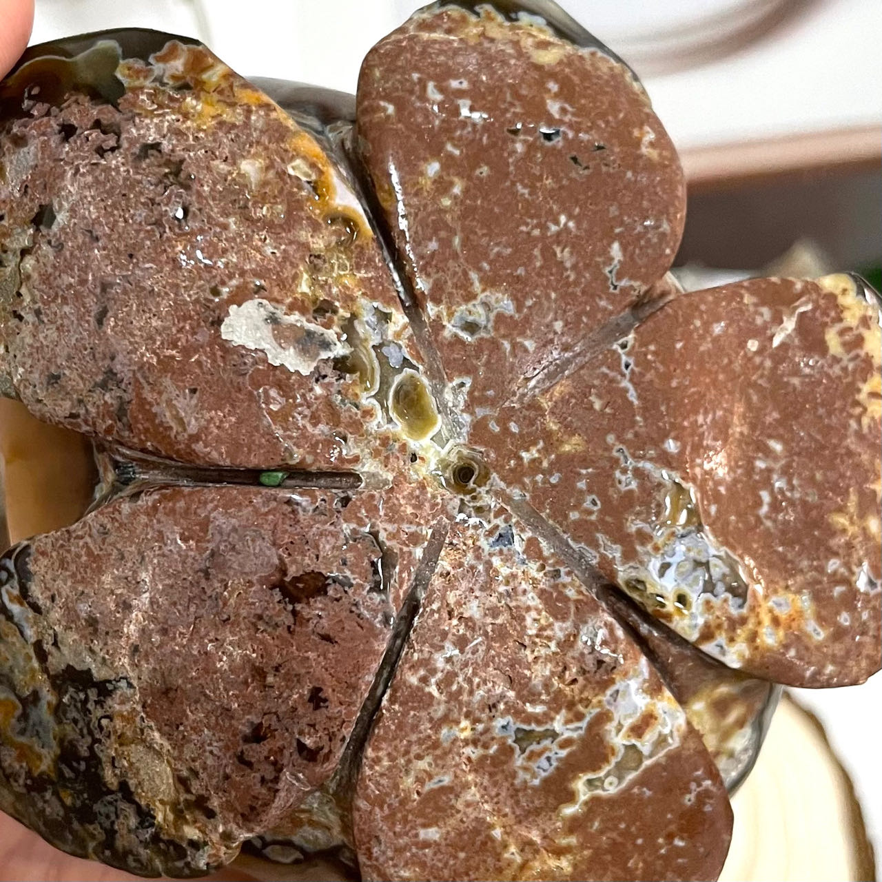Lotus Druzy Natural Raw Geode From IG Crystal