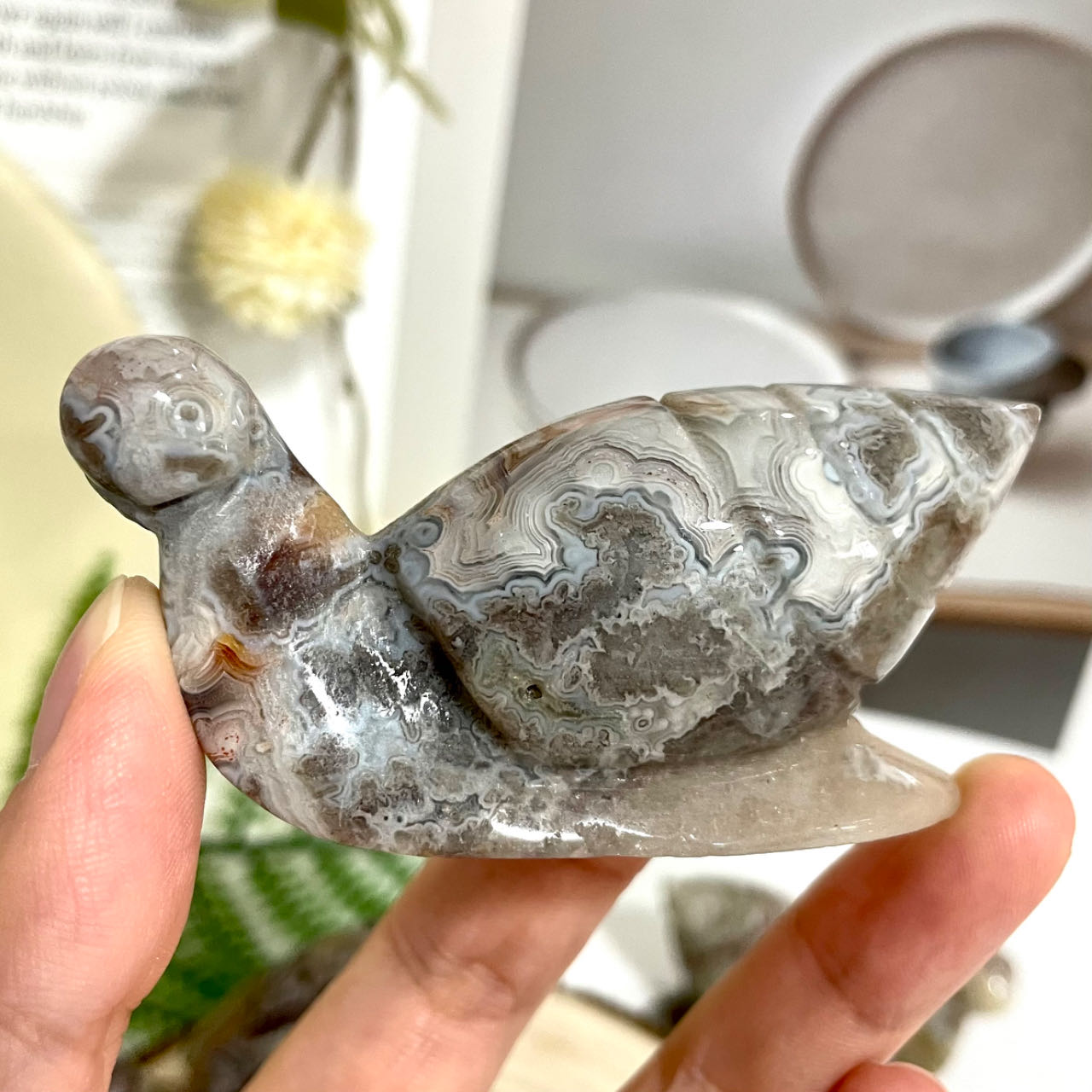 2 Counts Mexican Laguna Lace Agate Snail Crystal Healing Stone Home Decoration From IG Crystal