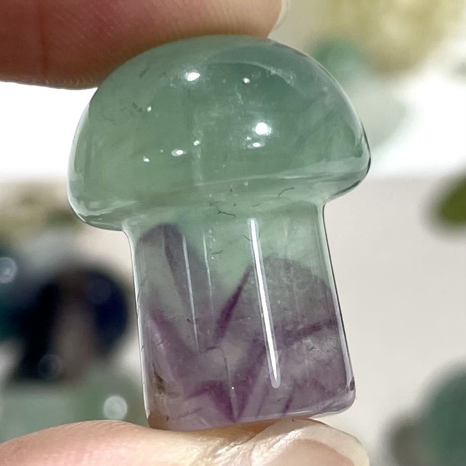 15 Counts Small Fluorite Mushroom Crystal Healing Crystal Home Decoration From IG Crystal