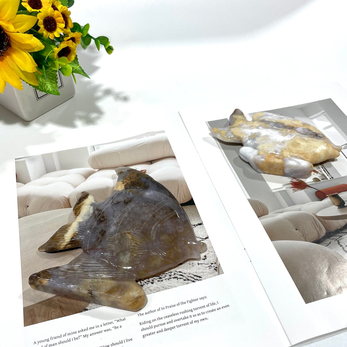 1 Count Chalcedony Fish Crystal Carving Healing Stones Natural Stone Chakra Balancing Reiki Home Office Decor From IG Crystal