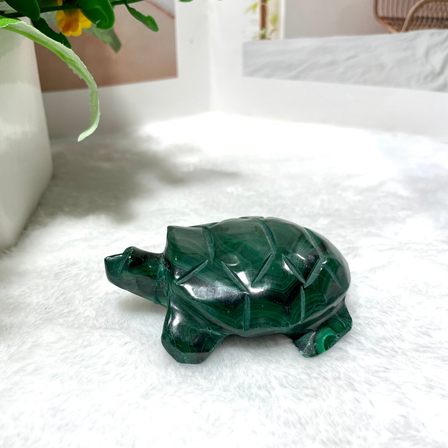 Malachite Owl Cat Frog Turtle Crystal Carving Natural Stone Gem Mining Chakra Balancing Reiki Healing Crystal Mystery Crystal Display Crystal Shopping Online Home Office Decor From IG Crystal