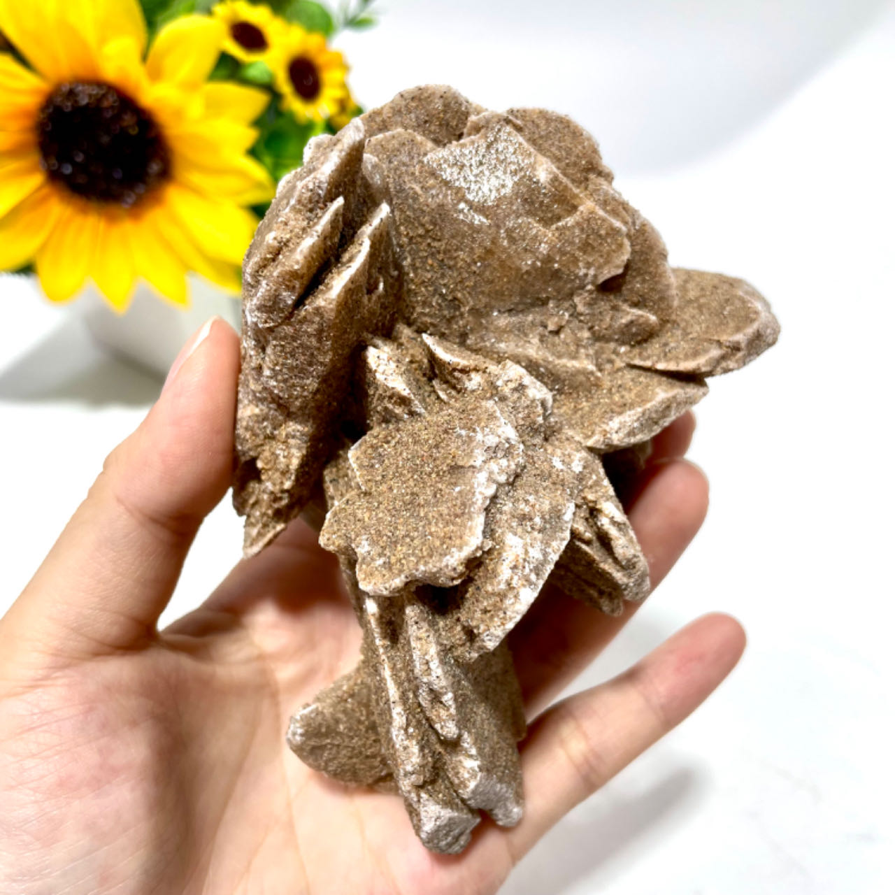 1 Count Desert Rose Cluster Natural Stone Gem Mining Chakra Balancing Reiki Healing Crystal Mystery Crystal Display Crystal Shopping Online Home Office Decor From IG Crystal