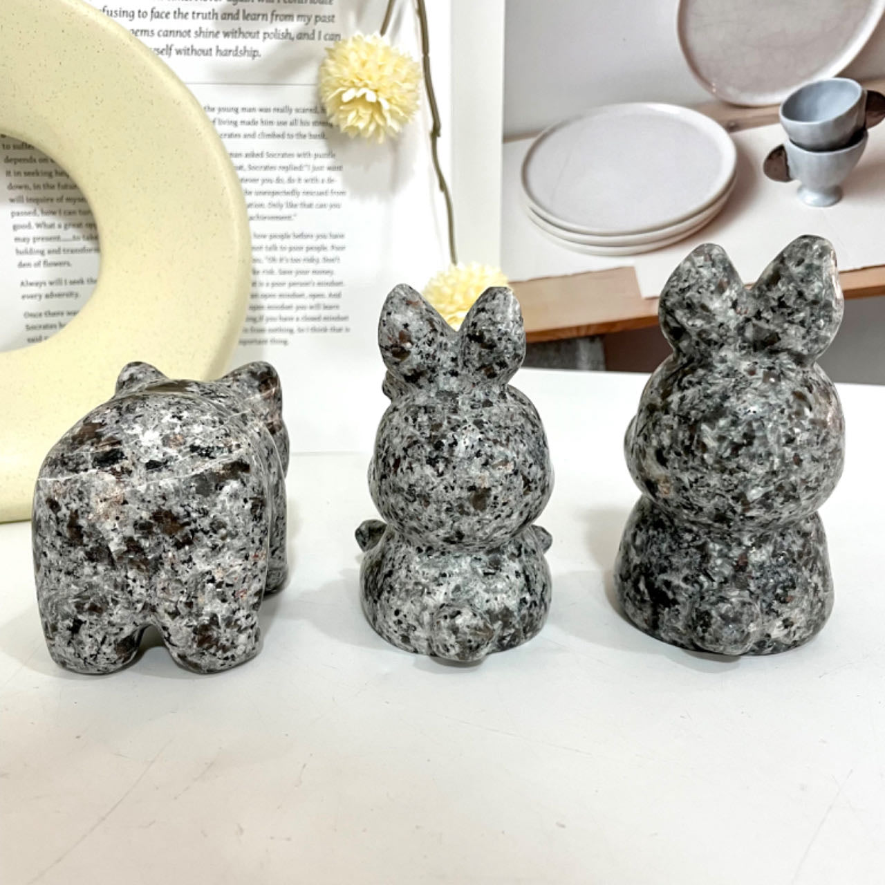 Yooperlite Bear Rabbit Seal Squirrel Frog Dog Crystal Healing Stone From IG Crystal