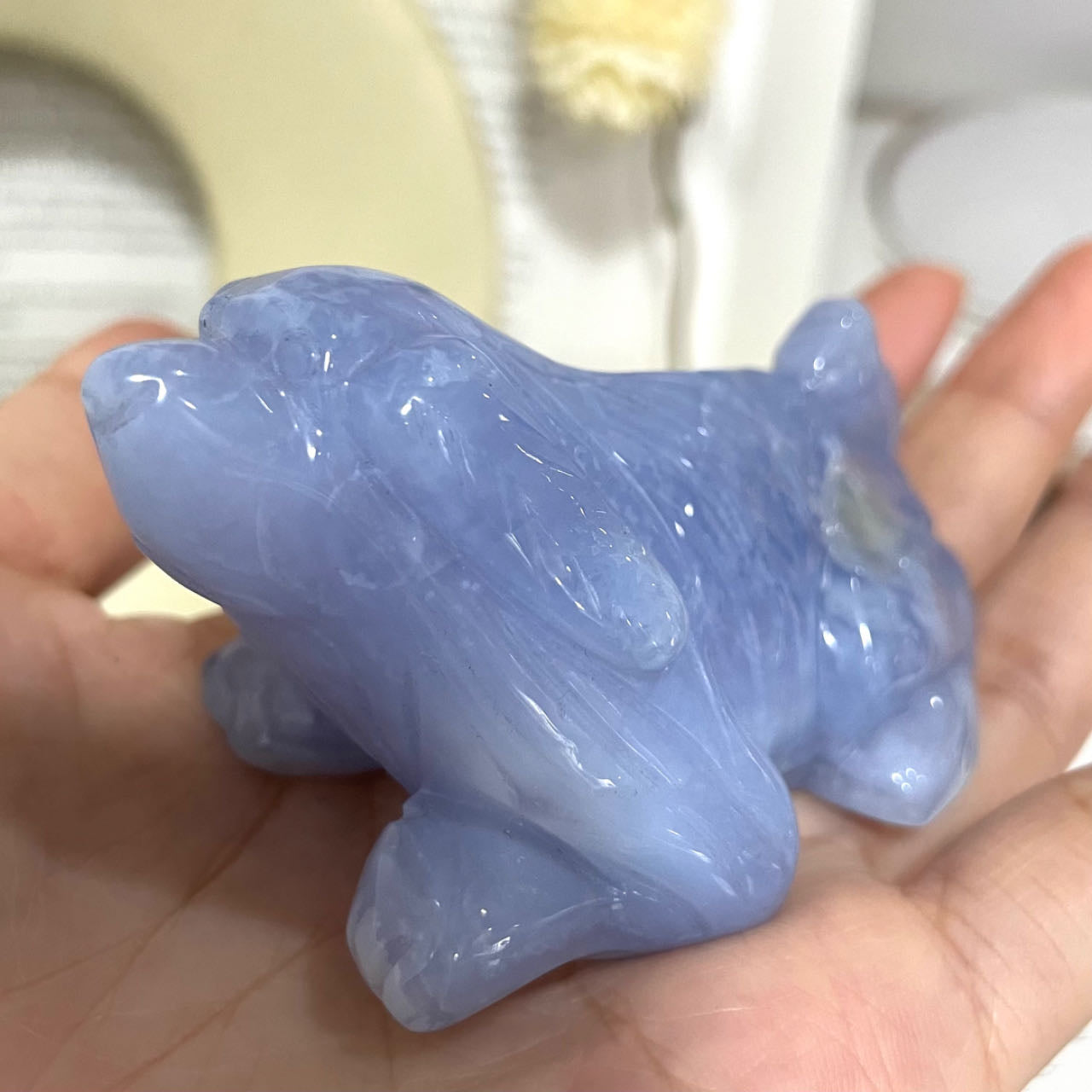 Blue Lace Agate Dog Crystal Healing Stone Home Decoration Stochastic 1PCS From IG Crystal