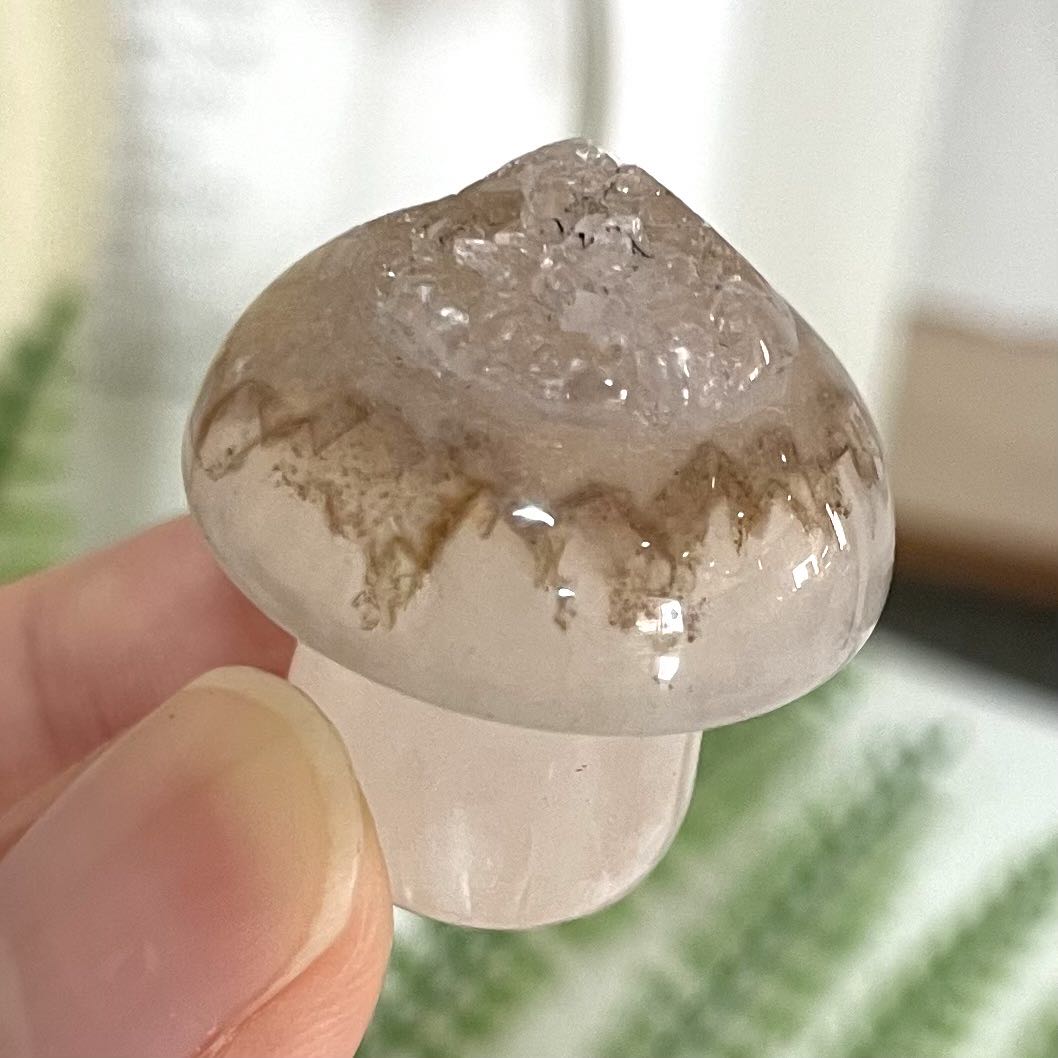 Different Maerail Small Mushrooms Druzy Natural Raw Geode Healing Stone From IG Crystal